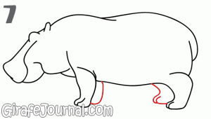 Cum de a desena un hipopotam treptat creion