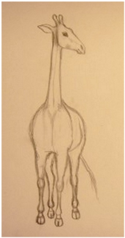 Cum de a desena un creion girafă