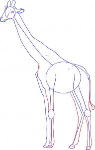 Cum de a desena o girafă - remiză animale