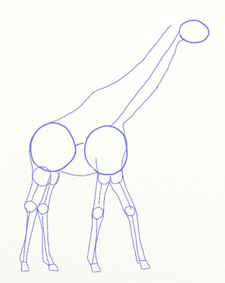 Cum de a desena o girafă, girafă desen etape creion