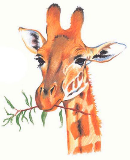 Cum de a desena un creioane colorate girafă în etape