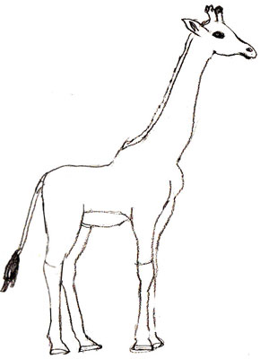 Cum de a desena o girafă, lecții de desen și Photoshop