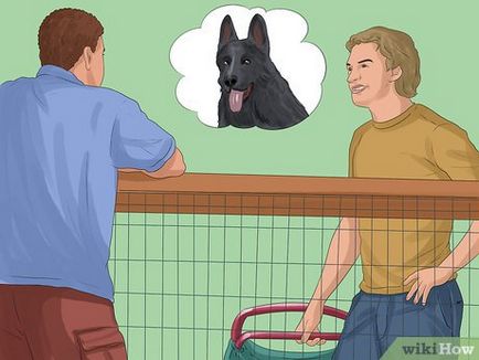 Cum să nu permită câini gazonului dumneavoastră