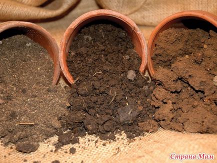 Cum de a determina compoziția solului și cum să-l îmbunătățească - grădină, grădină - acasă Mamele