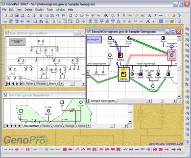 Cum de a construi un arbore genealogic, stând pe canapea - program de genealogie