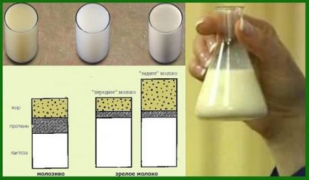 Cum de a crește conținutul de grăsime din laptele matern este de ce a devenit ca apa