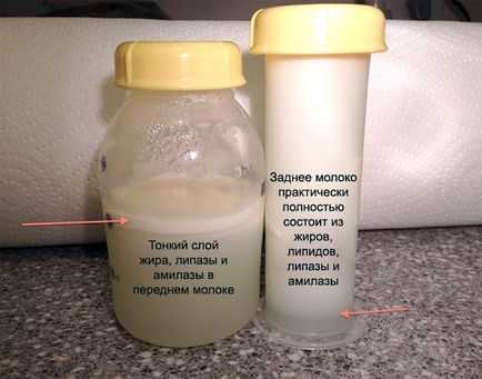 Cum de a crește conținutul de grăsime al laptelui matern la mamele care alăptează, care ar trebui să fie consumate alimente