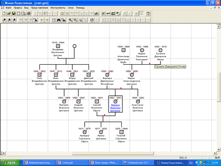 Cum de a face un arbore genealogic al genului și familiei auto - model șablon și schema