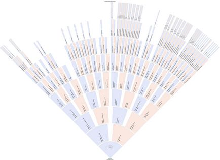 Cum de a face un arbore genealogic al genului și familiei auto - model șablon și schema