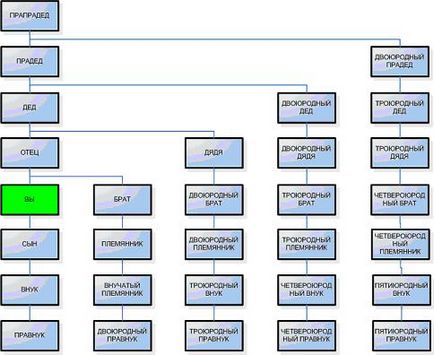 Cum de a face un arbore genealogic generic ca de lucru, sfaturi, diagrame și video