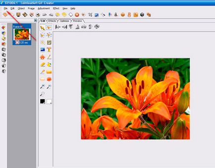 Cum de a face animație cu ajutorul programului eximioussoft_gif_creator