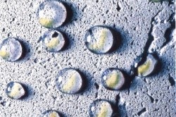 Cum de a face sfaturi din beton rezistente la apă și trucuri