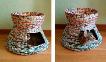 Cum sa faci o casa pentru fotografie pisică