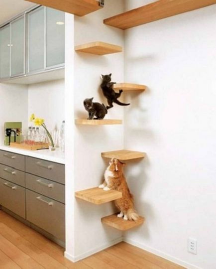 Cum sa faci o casa pentru pisica cu propriile sale mâini