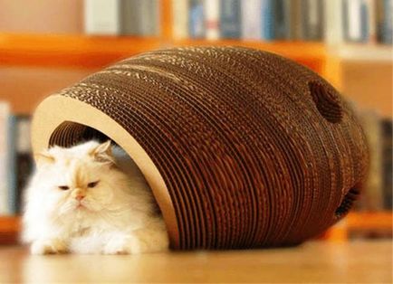 Cum de a face case pentru pisici
