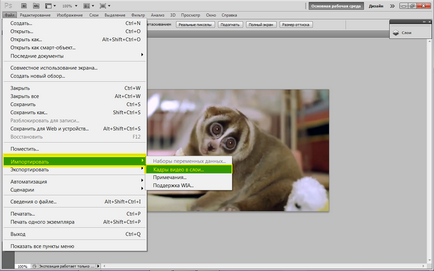 Cum SIFCO în Photoshop crearea gif-animație din video, ferestre alb