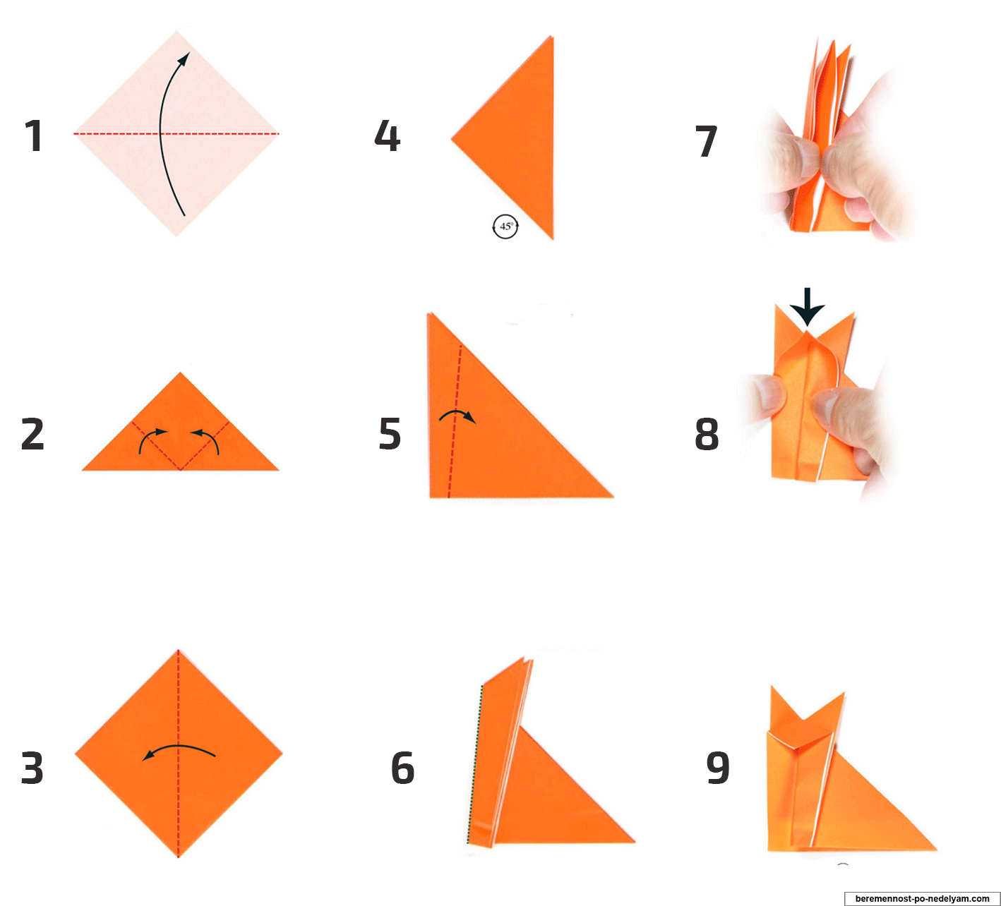 Cum de a face hârtie de animale origami grădină zoologică crea propriile lor mâini cu pas cu pas cursuri de master