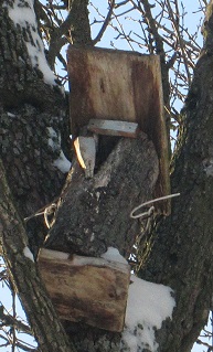 Cum de a face Birdhouse potrivit pentru păsări, cu propriile sale mâini o casă în sat (de a face) Cum de a face Birdhouse potrivit pentru păsări, cu propriile sale mâini o casă în localitate