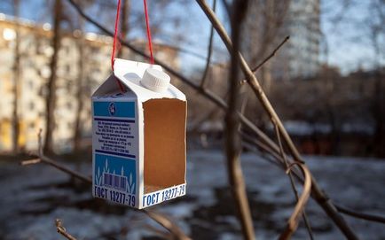 Cum sa faci o Birdhouse cu mâinile lor de desen, fotografie