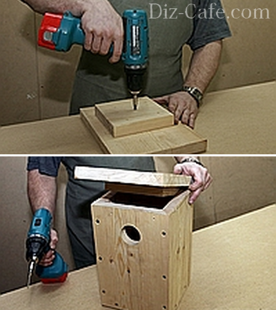 Cum sa faci o Birdhouse cu mâinile modul de a face proiectarea de lemn