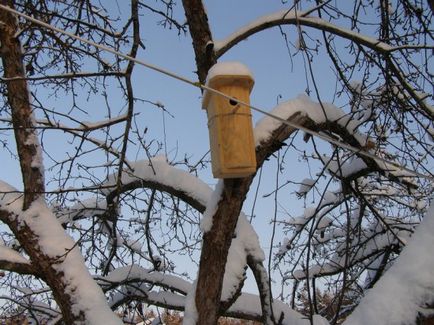 Cum sa faci o Birdhouse propriile sale mâini - instrucțiuni pas cu pas