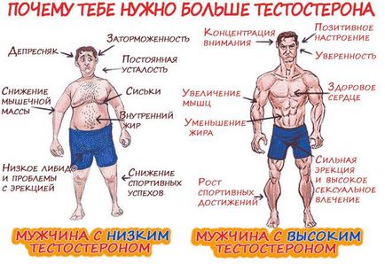 Cum pentru a curăța părțile laterale de la talie și un om acasă, în camera pentru săptămâna (mușchii abdominali oblici) Cum pentru a curăța părțile laterale de la talie și un om acasă în sala timp de o săptămână