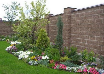 Cum de a decora o zonă suburbană cu flori - poze cu descriere