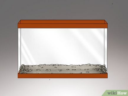 Cum să aibă grijă de broaște