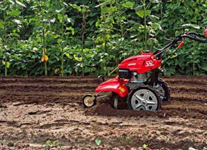 Cum de a alege un tractor plimbare în spatele pentru grădină, ținând seama de caracteristicile tehnice și dotările