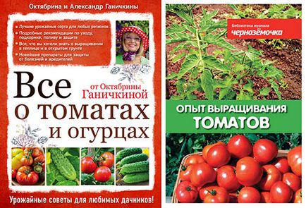 Cum de a alege un răsad de tomate în normele de piață și posibilele erori