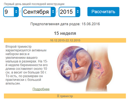 Sarcina Calculator - un calcul precis de zile și săptămâni, calendarul sarcinii