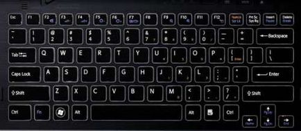 Tastatura laptop - lecții pe laptop - cu adevărat sălbatice