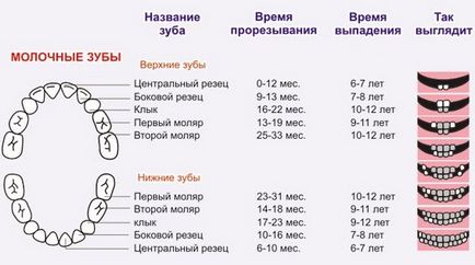 Atunci când dinții de lapte cad la copii și recomandări detaliate diagrama părinților