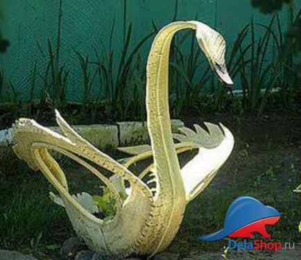 Swan pneuri