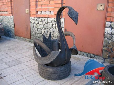 Swan pneuri