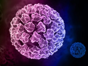 Tratamentul cu HPV la femei pot fi vindecate definitiv, precum și pentru a trata decât papilomavirusul - medicamente si