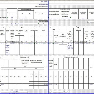 Contul personal al angajatului Formularul T-54 - forma și proba Excel