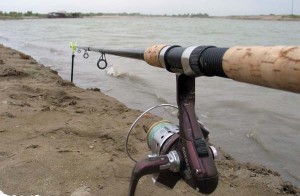 Prinderea crap și crap secrete de pescuit pe lacurile