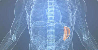 RMN (scanare) din cavitatea abdominală că este, ceea ce verifică autoritățile, cum să se pregătească