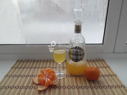 Brandy, lichior cu vodca la rețete de acasă cu fotografii