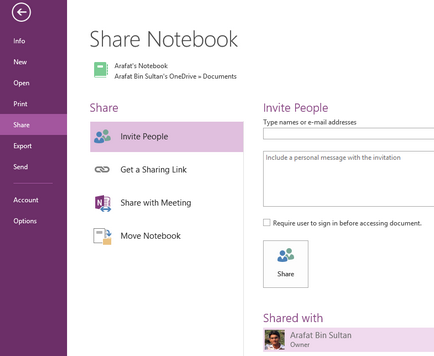 Revizuirea cererilor pentru ferestre OneNote - Prezentare generală Software