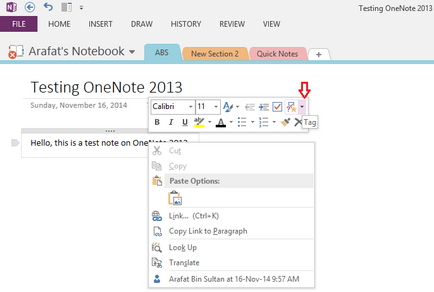 Revizuirea cererilor pentru ferestre OneNote - Prezentare generală Software