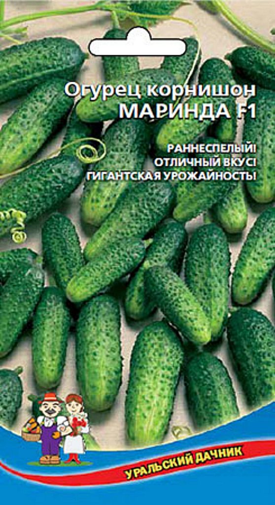 Castravetele zhuravlenok comentarii descriere fotografie de plantare