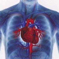 Cauzele insuficienta cardiaca si mecanismul de sindromul clinic, un ajutor premedical și ghiduri de resuscitare