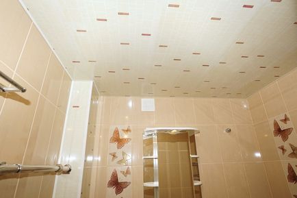 Finisarea tavanul și pereții de panouri din plastic