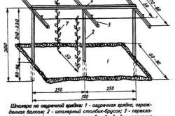 Castravete de sere pentru propriile lor mâini cum să facă