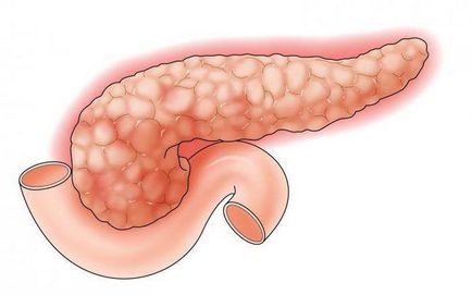 anatomie Pancreas și funcția bolii