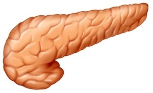 pancreatice umane și anatomia (poziția și structura)