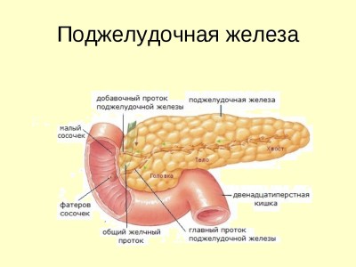 Pancreasul - care este, cum doare, simptome