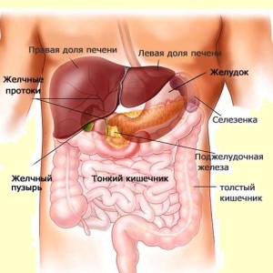 Pancreasul - care este, cum doare, simptome